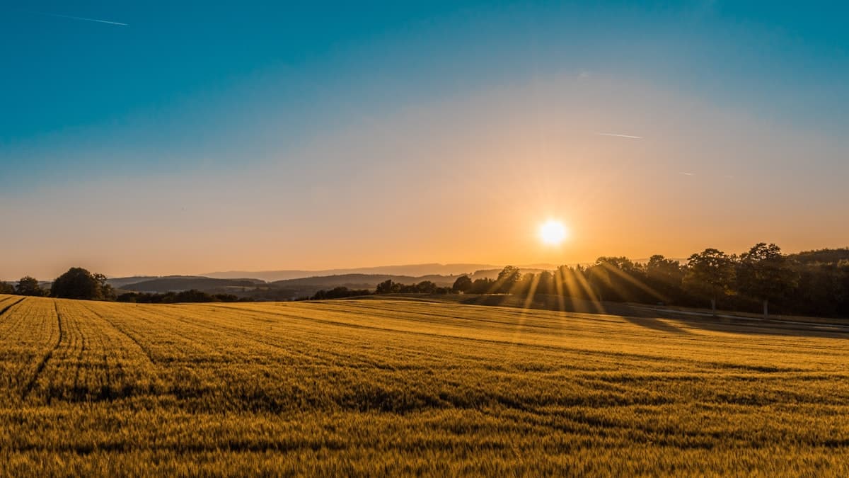 Kenyan farmland